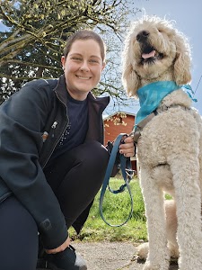 Consistent Caring Dog Walking and Pet Sitting place picture